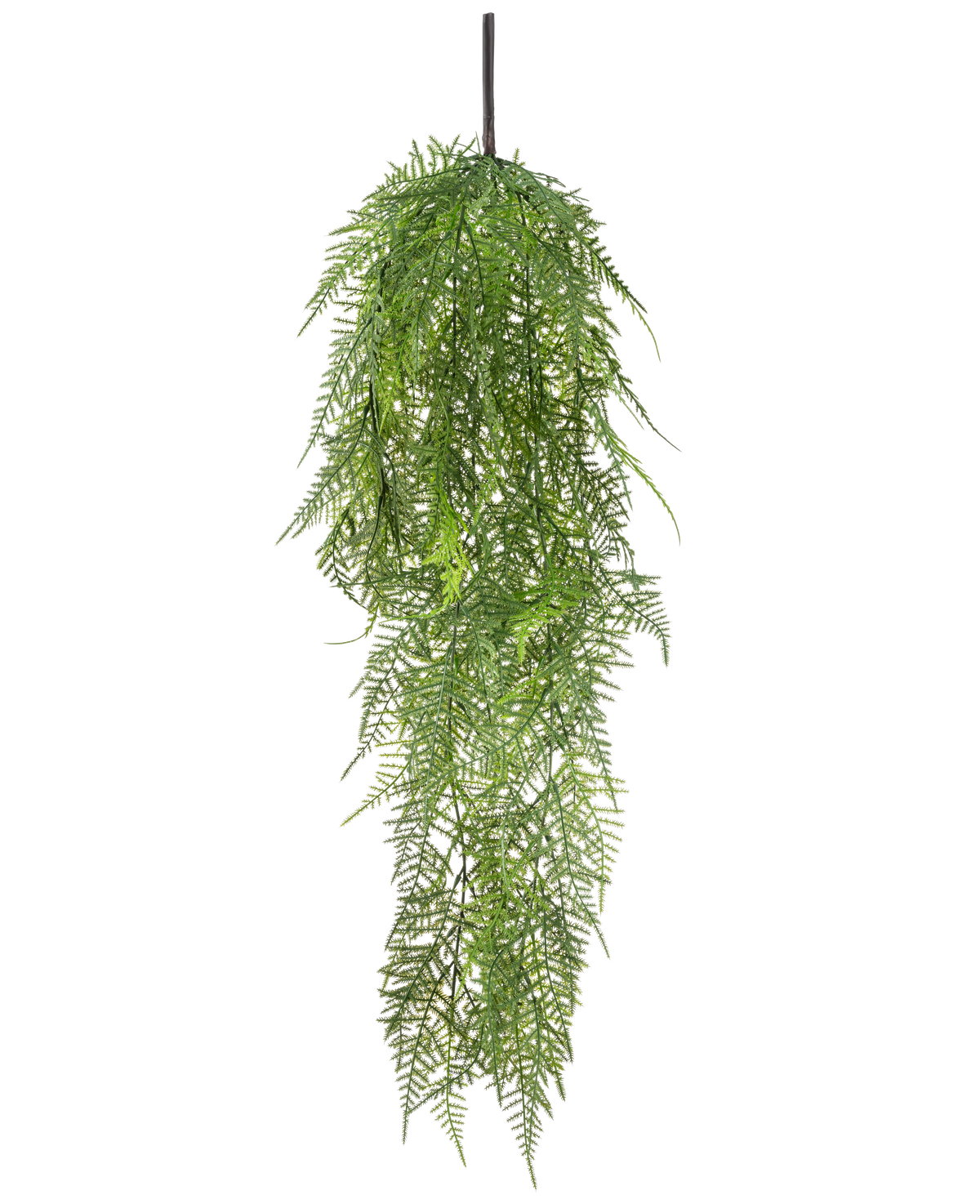 La pianta artificiale di asparagi pendenti da 78 cm ha foglie verdi lunghe e delicate che cadono, creando un'immagine rigogliosa e realistica su un semplice sfondo bianco.
