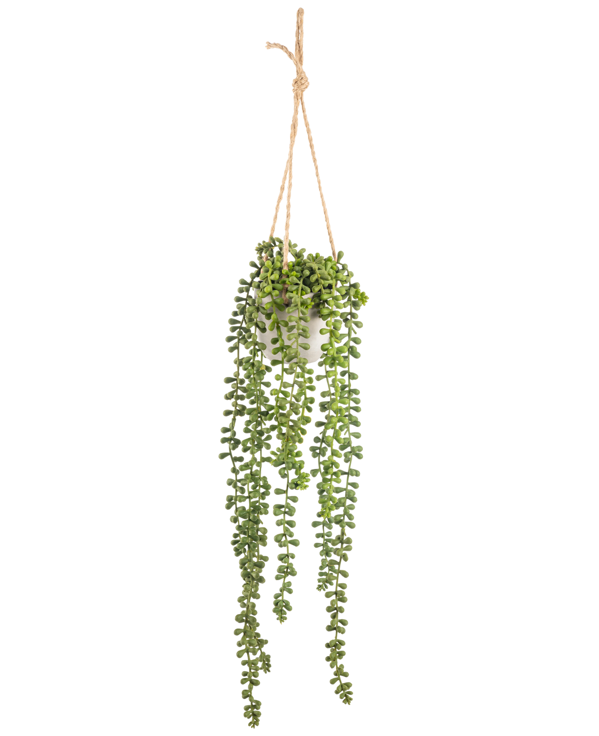 La pianta pensile artificiale Senecio in vaso da 55 cm ha lunghi steli pendenti verdi con foglie rotonde, sospesi in un vaso bianco su una corda marrone chiaro, perfetta per aggiungere verde a qualsiasi spazio.