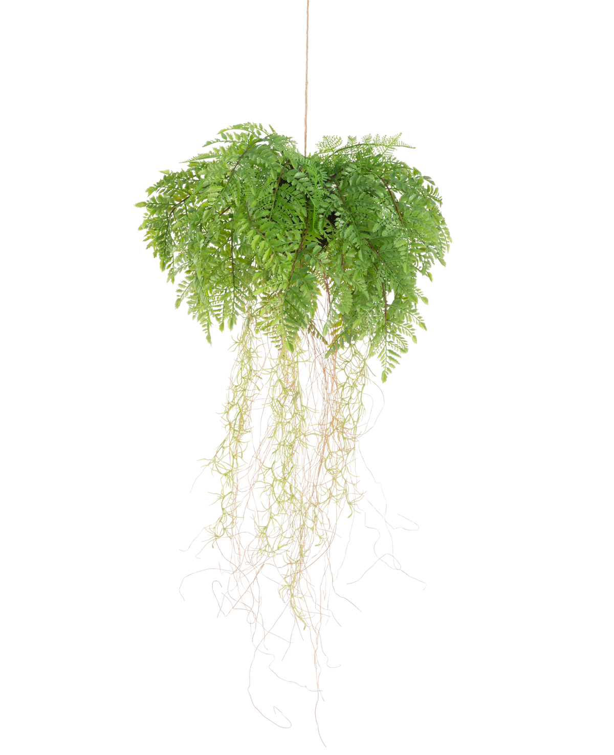 La pianta artificiale di felce con radici d35 cm con sistema di sospensione ha radici lunghe e sottili e pende su un filo su uno sfondo bianco senza manutenzione.