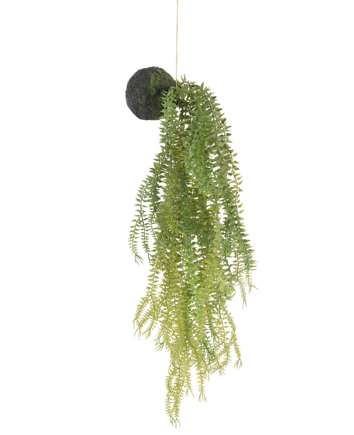 La pianta pensile artificiale Phlegmariurus palla 50 cm ha foglie di felce verdi su una base rotonda ricoperta di muschio, sospese ad una corda su uno sfondo bianco.
