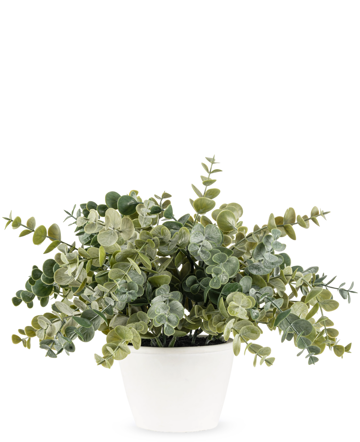 La pianta di eucalipto artificiale da 23 cm ha foglie verdi lussureggianti e rotonde e viene fornita in un semplice vaso bianco, perfetto per illuminare qualsiasi spazio con il suo aspetto naturale su uno sfondo semplice.