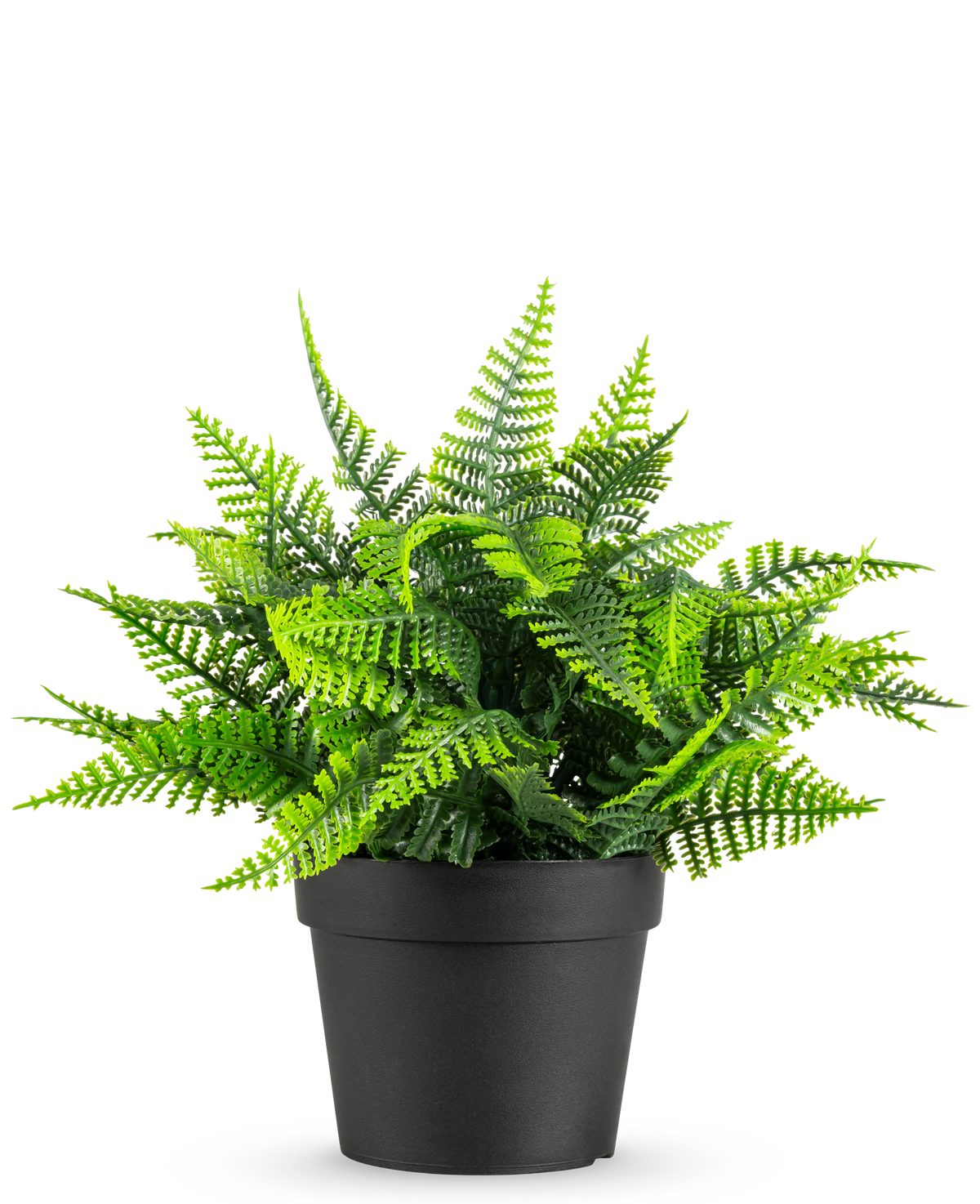La pianta artificiale di felce in vaso UV 23 cm presenta una realistica felce verde con foglie piumate in un semplice vaso nero, su uno sfondo bianco.