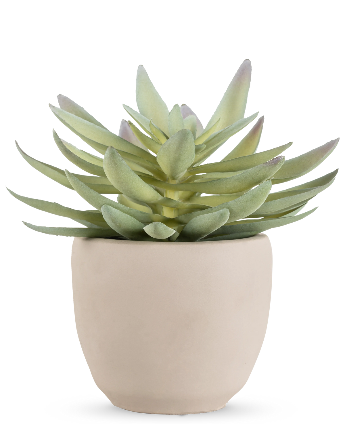 La pianta succulenta artificiale da 18 cm ha foglie verdi spesse e appuntite in un semplice vaso rotondo di ceramica bianco sporco, su uno sfondo bianco.