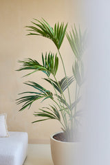 Een Kunstplant Kentia Palm 180 cm staat naast een wit gestoffeerde bank tegen een beige muur, met de rechterkant van het beeld gedeeltelijk verborgen door een mat of onscherp gedeelte.