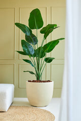 De Kunstplant Strelitzia 180 cm real touch staat op een lichte vloer bij een witte bank en een geweven vloerkleed, tegen een lichtgroene wand met panelen, waarbij de brede groene bladeren een natuurlijke touch toevoegen.