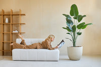 Pianta Artificiale Strelitzia 180 cm Real Touch