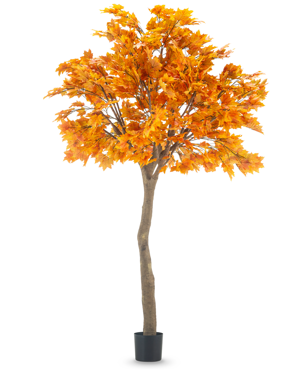L'albero artificiale di acero da 280 cm è un alto acero artificiale con vivaci foglie autunnali di colore arancione in un vaso nero, isolato su uno sfondo bianco.