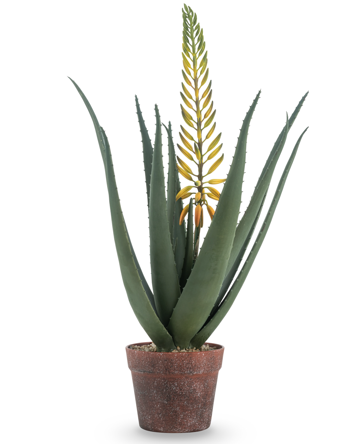 La pianta di Aloe artificiale con fiore da 66 cm è un'aloe vera artificiale in vaso con foglie verdi lunghe e spesse e un lungo ramo di fiori gialli, isolato su sfondo bianco.
