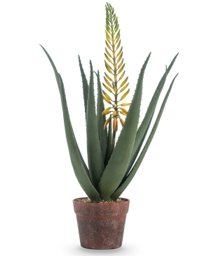La pianta di Aloe artificiale con fiore da 66 cm è un'aloe vera artificiale in vaso con foglie verdi lunghe e spesse e un lungo ramo di fiori gialli, isolato su sfondo bianco.