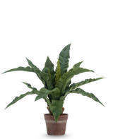 De Kunstplant Nestvaren 49 cm heeft lange, golvende groene bladeren in een bruine kleipot, tegen een effen witte achtergrond.