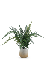 De Kunstplant Varen 51 cm is een kunstvaren met lange, groene, vederachtige bladeren in een eenvoudige ronde pot van lichtgekleurd keramiek, tegen een effen witte achtergrond.