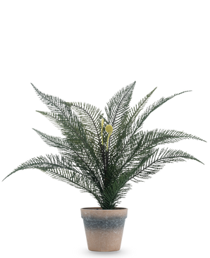 Pianta artificiale Felce Phoenix 39 cm in un semplice vaso di terracotta stagionato con lussureggianti foglie verdi piumate su uno sfondo bianco a tinta unita.