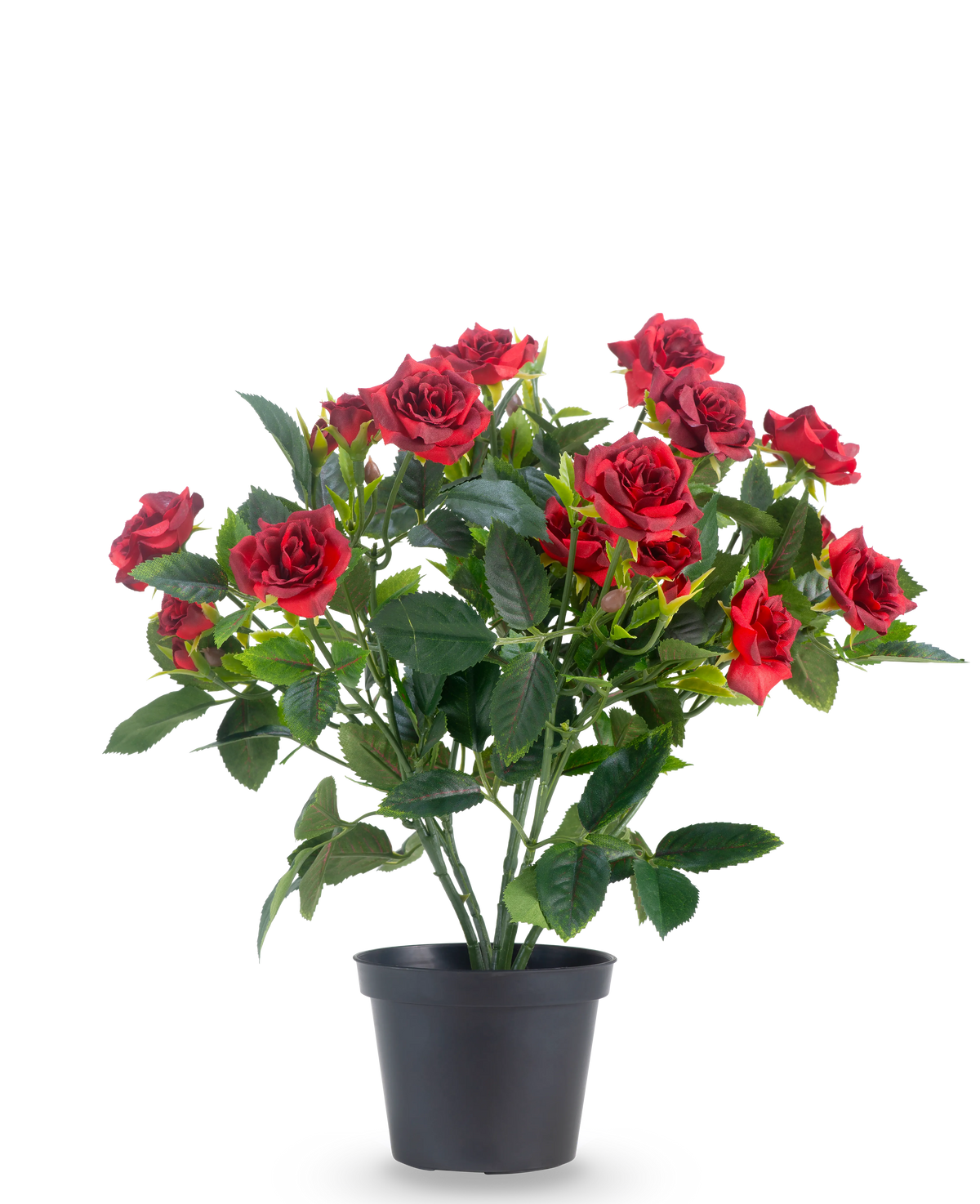 Una pianta artificiale da patio rosa da 35 cm in rosso/nero presenta vivaci rose artificiali rosse con foglie verdi lussureggianti in un vaso nero, su uno sfondo bianco semplice.