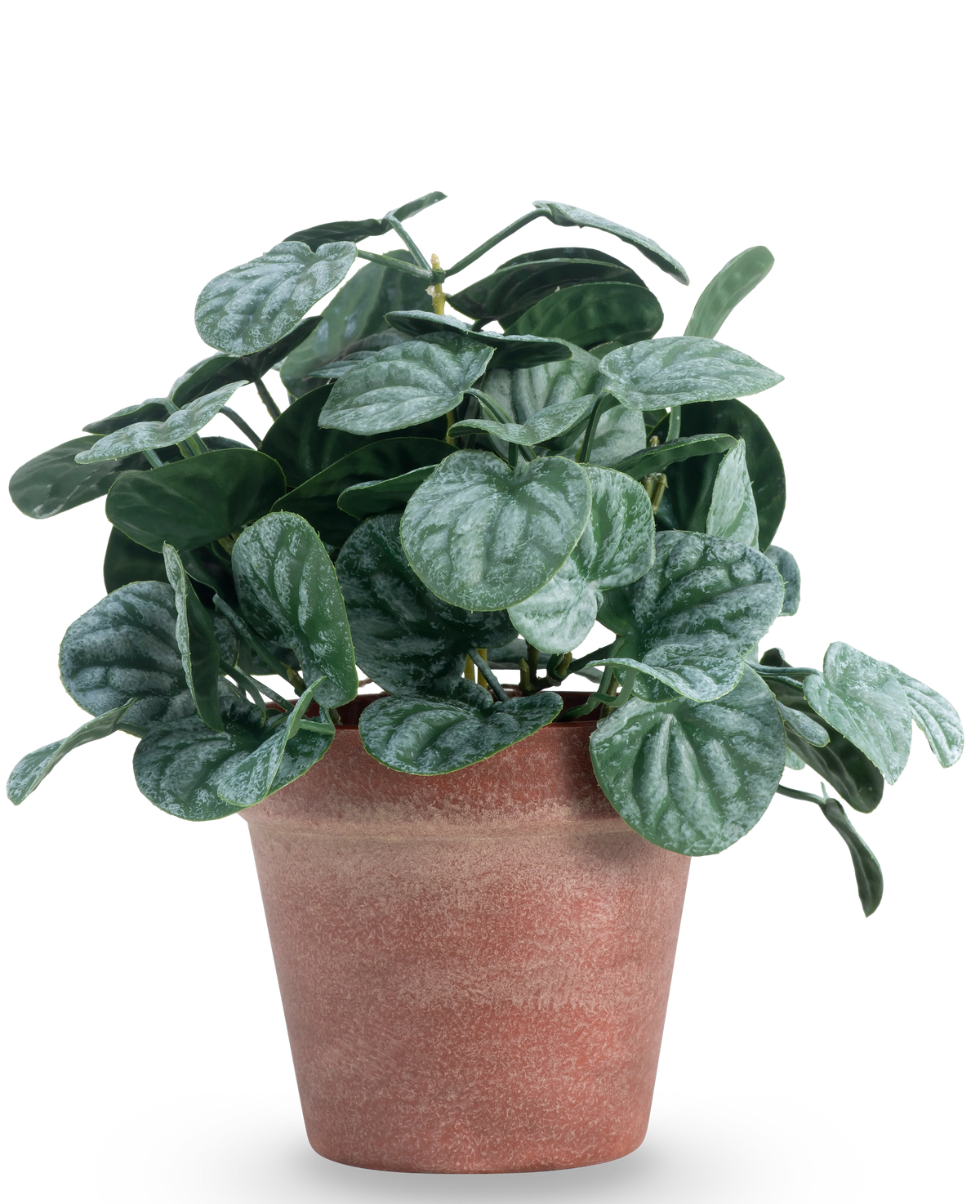La foglia artificiale di Rugose verde da 26 cm ha foglie rotonde e strutturate di colore verde in un vaso di terracotta rosso-marrone, su uno sfondo bianco semplice.