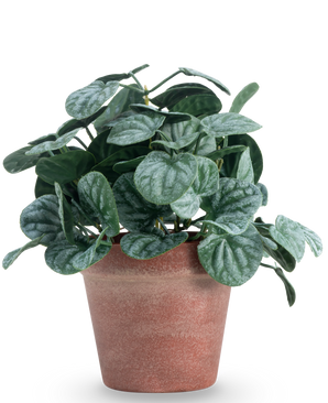 La foglia artificiale di Rugose verde da 26 cm ha foglie rotonde e strutturate di colore verde in un vaso di terracotta rosso-marrone, su uno sfondo bianco semplice.
