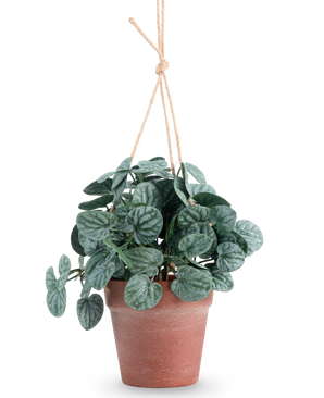 La foglia rugosa artificiale verde da 29 cm in vaso sospeso ha foglie rotonde di colore verde scuro in un vaso sospeso marrone, su uno sfondo bianco a tinta unita.