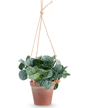 La foglia artificiale di Rugose verde da 18 cm ha foglie verdi rotonde in un vaso sospeso di terracotta, appeso a una corda marrone chiaro, su uno sfondo bianco semplice.