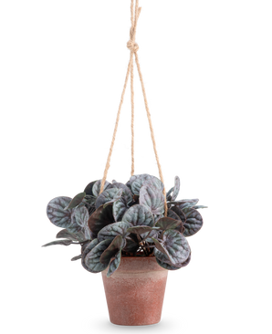 La foglia rugosa artificiale (18 cm) è una pianta artificiale con foglie verdi rotonde e frondose in un vaso sospeso grigio rustico, appeso a un gancio in corda marrone chiaro, su un semplice sfondo bianco.