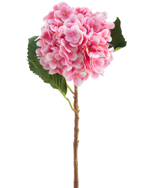 Il fiore artificiale Ortensia Real Touch rosa 58 cm è un unico stelo di ortensia artificiale rosa con foglie verdi, con un fiore rotondo composto da tanti piccoli petali, splendidamente dettagliato e isolato su uno sfondo bianco.