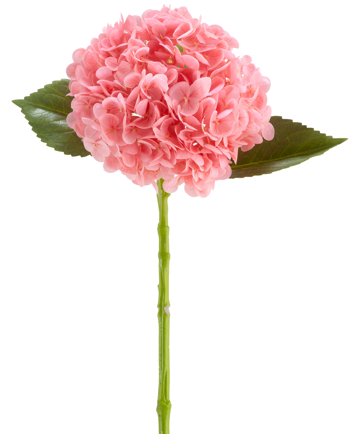 Il fiore artificiale Charlotte Hydrangea Real Touch rosa scuro è un fiore di ortensia artificiale lungo 55 cm, con un grappolo rotondo di petali rosa scuro e foglie verdi su un lungo stelo, isolato su sfondo bianco.