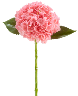 Il fiore artificiale Charlotte Hydrangea Real Touch rosa scuro è un fiore di ortensia artificiale lungo 55 cm, con un grappolo rotondo di petali rosa scuro e foglie verdi su un lungo stelo, isolato su sfondo bianco.