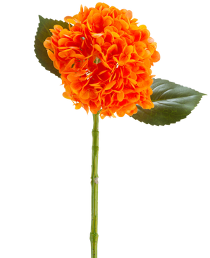 Il fiore artificiale Charlotte Hydrangea Real Touch arancione 55 cm ha un vivace fiore di ortensia arancione con petali, uno stelo verde e due grandi foglie verdi su uno sfondo bianco.