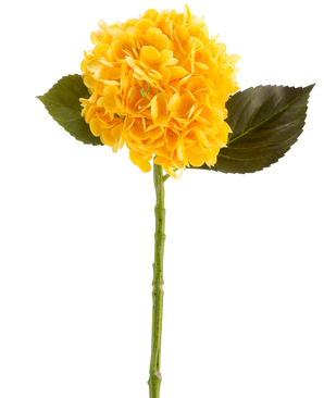 Il fiore artificiale Charlotte Hortensia Real Touch di colore giallo, 55 cm, è un fiore singolo di ortensia artificiale con foglie verdi e un lungo stelo, su sfondo bianco.