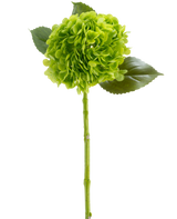 De Kunstbloem Charlotte Hortensia Real Touch donkergroen 55 cm bestaat uit één groene hortensiabloem met in trossen geplaatste bloemblaadjes, drie glanzende bladeren en een lange steel, allemaal afgebeeld tegen een witte achtergrond.
