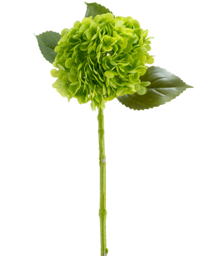 Il fiore artificiale Charlotte Hydrangea Real Touch verde scuro 55 cm è composto da un fiore di ortensia verde con petali riuniti, tre foglie lucide e un lungo stelo, il tutto raffigurato su uno sfondo bianco.