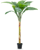 De Kunstplant Bananenboom 180 cm heeft brede groene bladeren en een gestructureerde steel in een kleine zwarte pot, tegen een effen witte achtergrond.