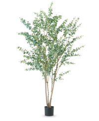 Piante Artificiali Eucalipto 210 cm