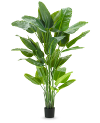 Pianta Artificiale Strelitzia Real Touch Deluxe 210 cm