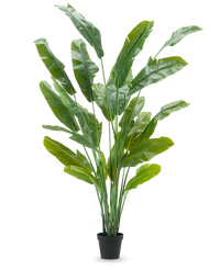Pianta Artificiale Strelitzia Nicolai Deluxe 235 cm