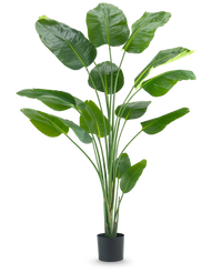 Pianta Artificiale Strelitzia 210 cm Real Touch