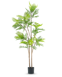 Pianta di felce artificiale 210 cm