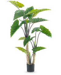 Pianta Artificiale Alocasia 180 cm