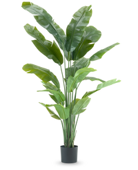 Pianta Artificiale Strelitzia Nicolai Deluxe 195 cm