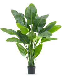 Pianta Artificiale Strelitzia Real Touch Deluxe 180 cm