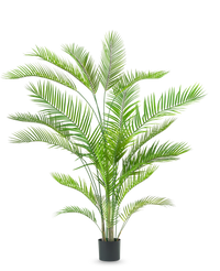 Pianta artificiale Chamaedorea 180 cm
