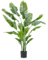 Pianta Artificiale Strelitzia Nicolai Deluxe 185 cm