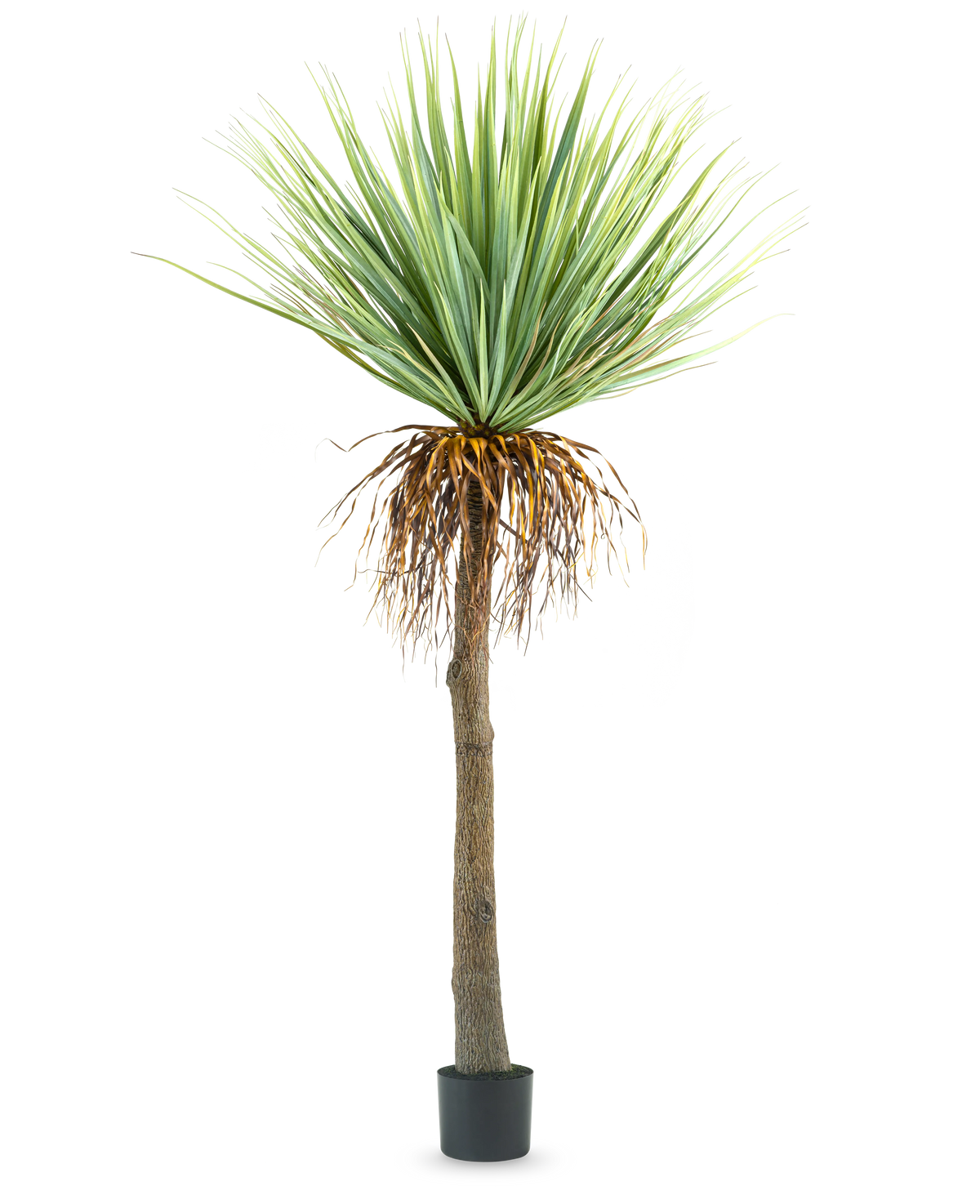 La pianta di Yucca artificiale alta 153 cm ha un tronco alto e ruvido di colore marrone con foglie verdi appuntite nella parte superiore e alcune foglie secche nella parte inferiore, su uno sfondo bianco semplice.