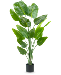 Pianta Artificiale Strelitzia 180 cm Real Touch