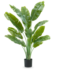 Pianta Artificiale Strelitzia Nicolai Deluxe 170 cm