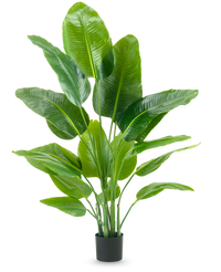 Pianta Artificiale Strelitzia Real Touch Deluxe 150 cm