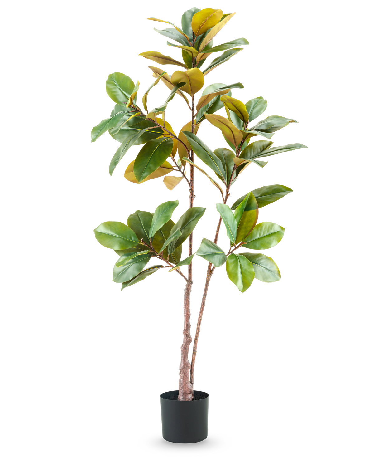 L'albero artificiale di Yulania da 150 cm è una pianta artificiale alta e realistica con ampie foglie verdi e gialle in un vaso nero, su uno sfondo bianco semplice.