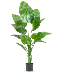 Pianta Artificiale Strelitzia 150 cm Real Touch