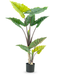 Pianta Artificiale Alocasia 150 cm