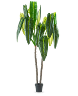 De Kunstplant Anthurium 240 cm is een hoge kunstplant in pot met twee bruine stelen en grote, langwerpige groene bladeren tegen een effen witte achtergrond.