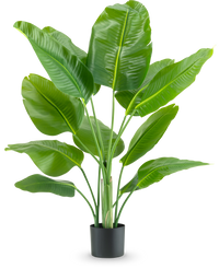 Pianta Artificiale Strelitzia Real Touch Deluxe 120 cm