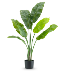 Pianta Artificiale Strelitzia Nicolai Deluxe 120 cm